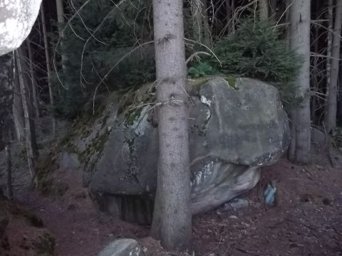 Tylna Borowa Kopa w G�rach Sto�owych - szlak doj�ciowy s010 - PTTK Strzelin