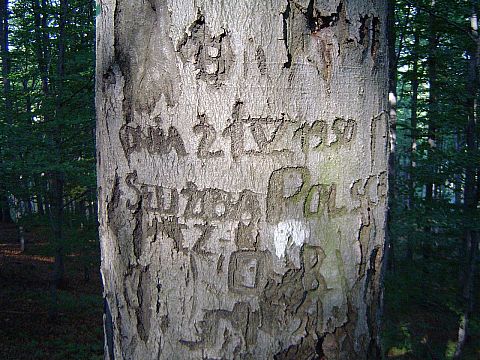 Napis koo buka z klamrami pod Gromnikiem s057 - PTTK Strzelin