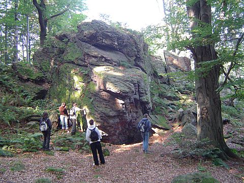 Szlak czerwony Gromnik - Strzelin s061 - PTTK Strzelin