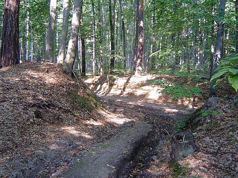 Szlak czerwony Gromnik - Strzelin s062 - PTTK Strzelin