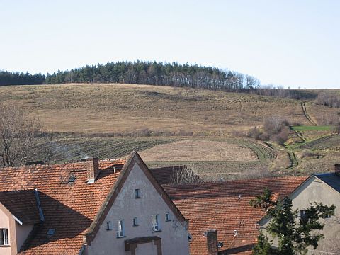 Ksiginice Wielkie - widok z wiey kocielnej s024 - PTTK Strzelin