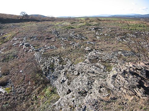 Wzgrza nad Ksiginicami Wielkimi s030 - PTTK Strzelin