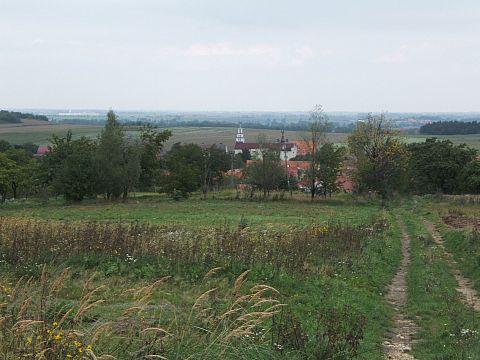 Kuropatnik