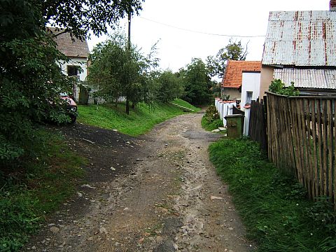 Kuropatnik