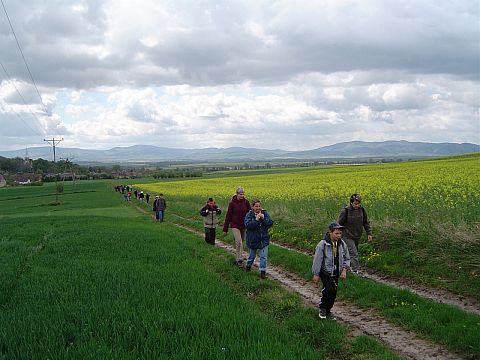 Panorama ze Stolca