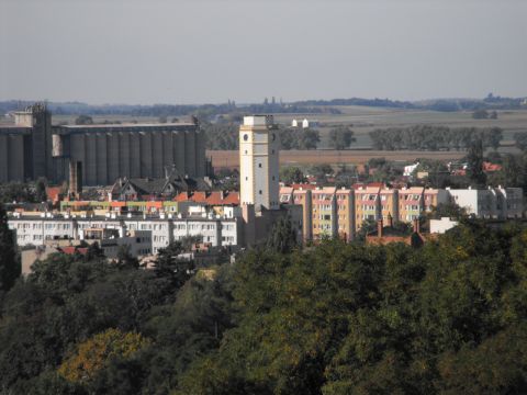 Wzgrza Strzeliskie - Szacowa - widok z wiey na Strzelin s017 - PTTK Strzelin