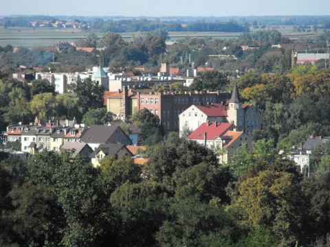 Wzgrza Strzeliskie - Szacowa - widok z wiey na Strzelin s021 - PTTK Strzelin