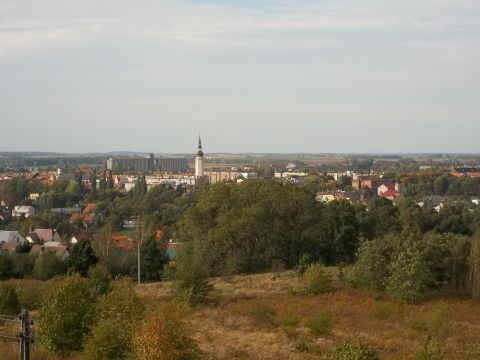 Szacowa - widok z wiey na now wie ratuszow w Strzelinie s035 - PTTK Strzelin