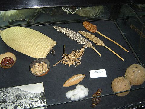 �wi�ty Krzy� - Muzeum Misyjne