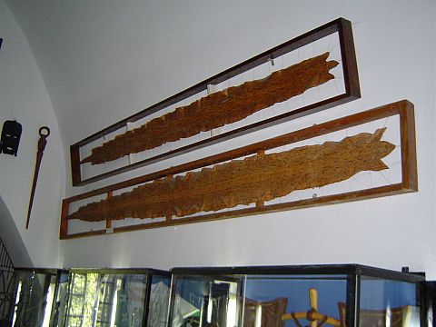 �wi�ty Krzy� - Muzeum Misyjne