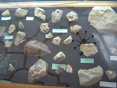 �wi�ty Krzy� - Muzeum Przyrodnicze �wi�tokrzyskiego Parku Narodowego