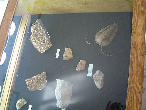 �wi�ty Krzy� - Muzeum Przyrodnicze �wi�tokrzyskiego Parku Narodowego