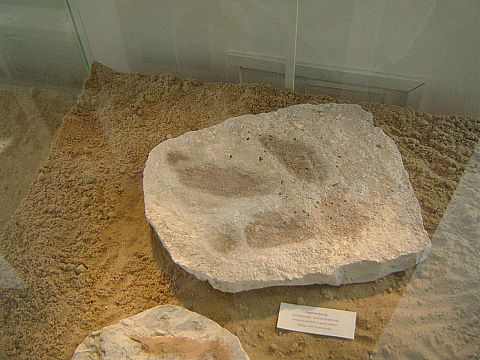 �wi�ty Krzy� - Muzeum Przyrodnicze �wi�tokrzyskiego Parku Narodowego