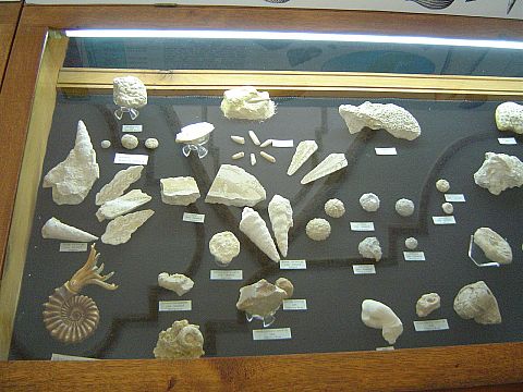 �wi�ty Krzy� - Muzeum Przyrodnicze �wi�tokrzyskiego Parku Narodowego