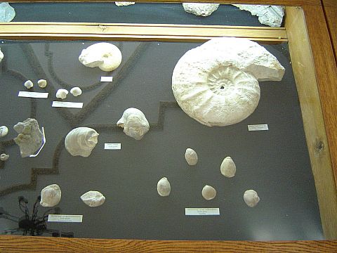 �wi�ty Krzy� - Muzeum Przyrodnicze �wi�tokrzyskiego Parku Narodowego