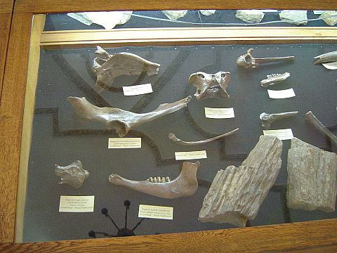 �wi�ty Krzy� - Muzeum Przyrodnicze �wi�tokrzyskiego Parku Narodowego