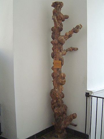 �wi�ty Krzy� - Muzeum Przyrodnicze �wi�tokrzyskiego Parku Narodowego