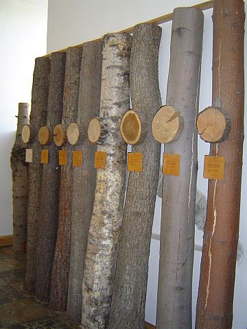 �wi�ty Krzy� - Muzeum Przyrodnicze �wi�tokrzyskiego Parku Narodowego