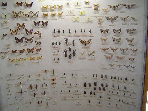 �wi�ty Krzy� - Muzeum Przyrodnicze �wi�tokrzyskiego Parku Narodowego