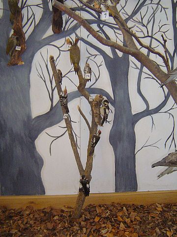 �wi�ty Krzy� - Muzeum Przyrodnicze �wi�tokrzyskiego Parku Narodowego