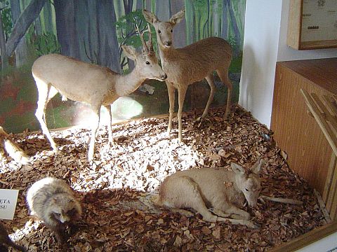 �wi�ty Krzy� - Muzeum Przyrodnicze �wi�tokrzyskiego Parku Narodowego