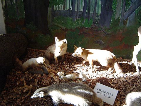 �wi�ty Krzy� - Muzeum Przyrodnicze �wi�tokrzyskiego Parku Narodowego