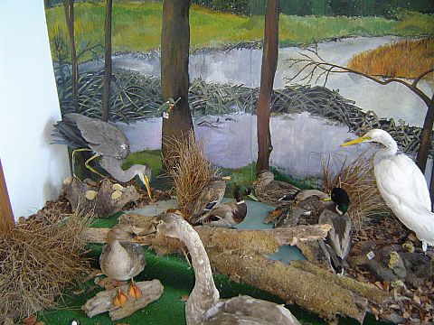 �wi�ty Krzy� - Muzeum Przyrodnicze �wi�tokrzyskiego Parku Narodowego