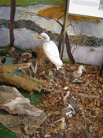 �wi�ty Krzy� - Muzeum Przyrodnicze �wi�tokrzyskiego Parku Narodowego