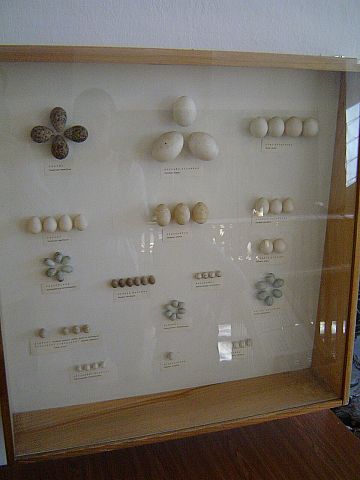 �wi�ty Krzy� - Muzeum Przyrodnicze �wi�tokrzyskiego Parku Narodowego