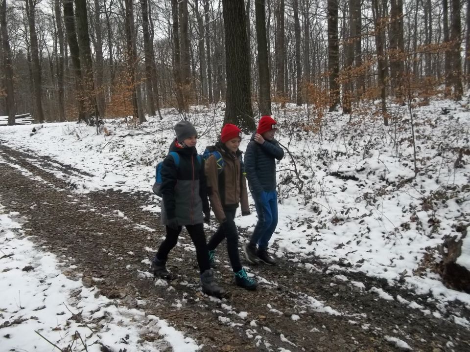 Na czerwonym szlaku do Witoszowa d005 - PTTK Strzelin