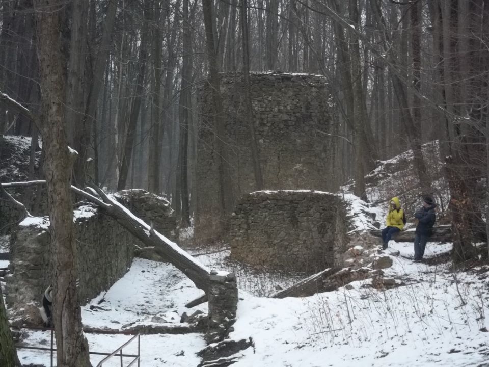 Jeziorko Daisy d025 - PTTK Strzelin