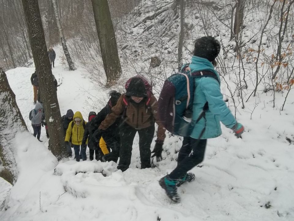 Jeziorko Daisy d048 - PTTK Strzelin