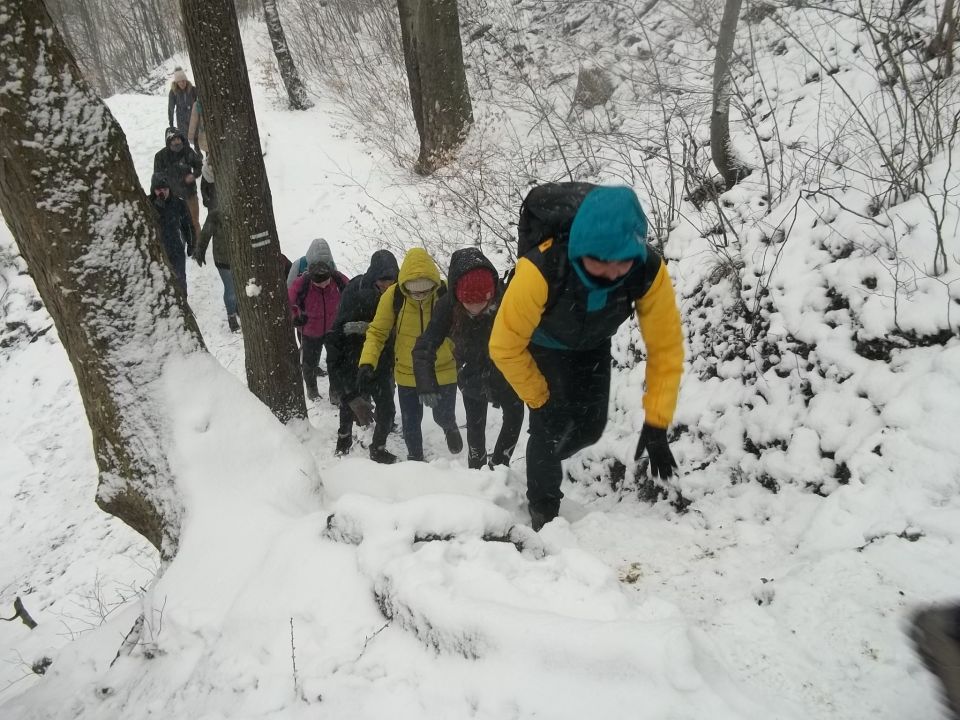 Jeziorko Daisy d049 - PTTK Strzelin