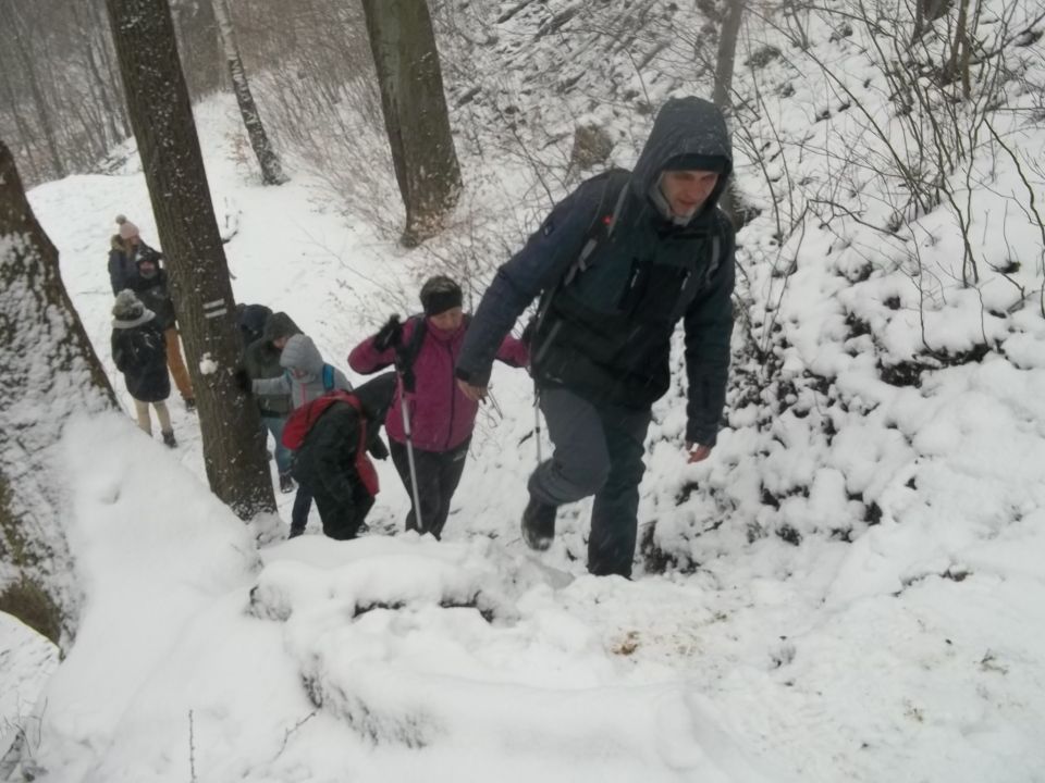 Jeziorko Daisy d051 - PTTK Strzelin