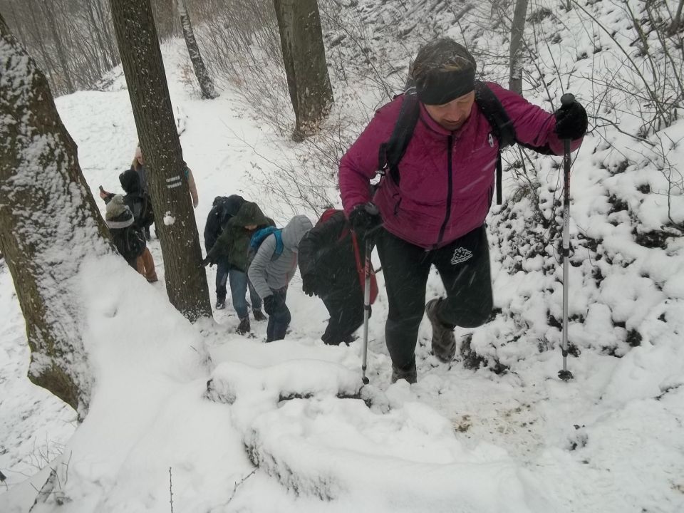 Jeziorko Daisy d052 - PTTK Strzelin