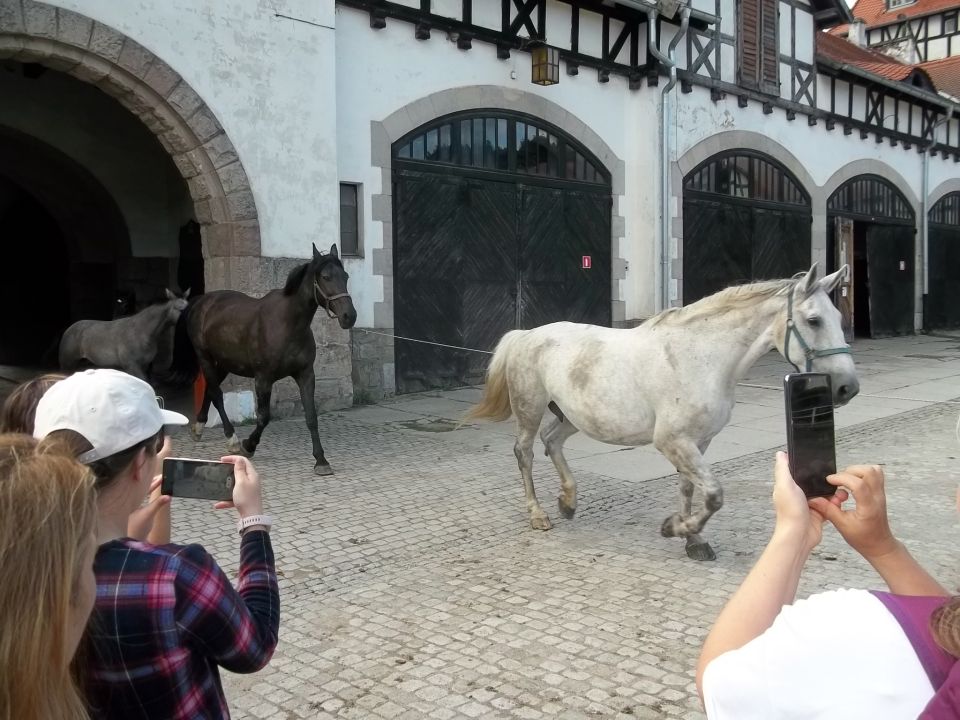 Wycieczka - Pogórze Wałbrzyskie s002 - PTTK Strzelin