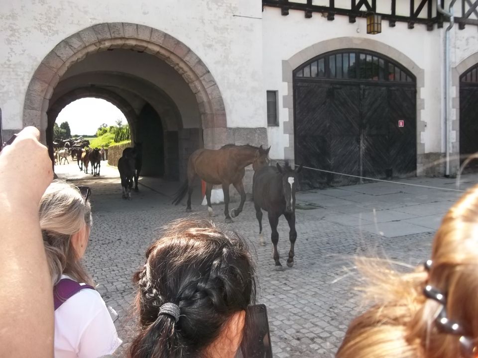 Wycieczka - Pogórze Wałbrzyskie s002 - PTTK Strzelin