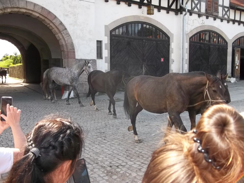 Wycieczka - Pogórze Wałbrzyskie s002 - PTTK Strzelin