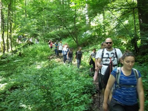 Wycieczka Przedgórze Wałbrzyskie s60 - PTTK Strzelin