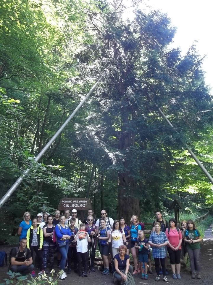 Wycieczka - Pogórze Wałbrzyskie s002 - PTTK Strzelin