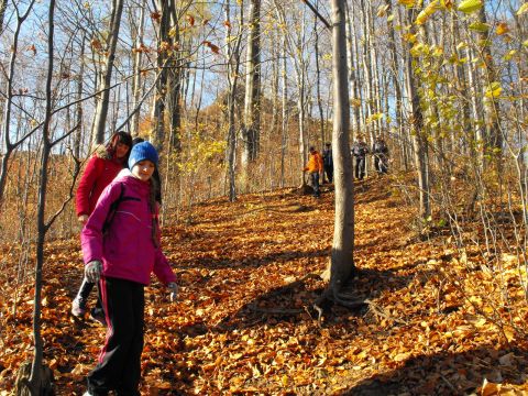 Wycieczka w Góry Wałbrzyskie s53 - PTTK Strzelin