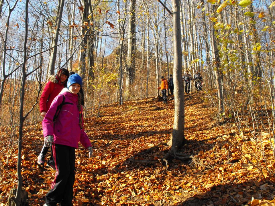 Wycieczka w Góry Wałbrzyskie s002 - PTTK Strzelin