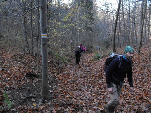 Wycieczka w Góry Wałbrzyskie s57 - PTTK Strzelin