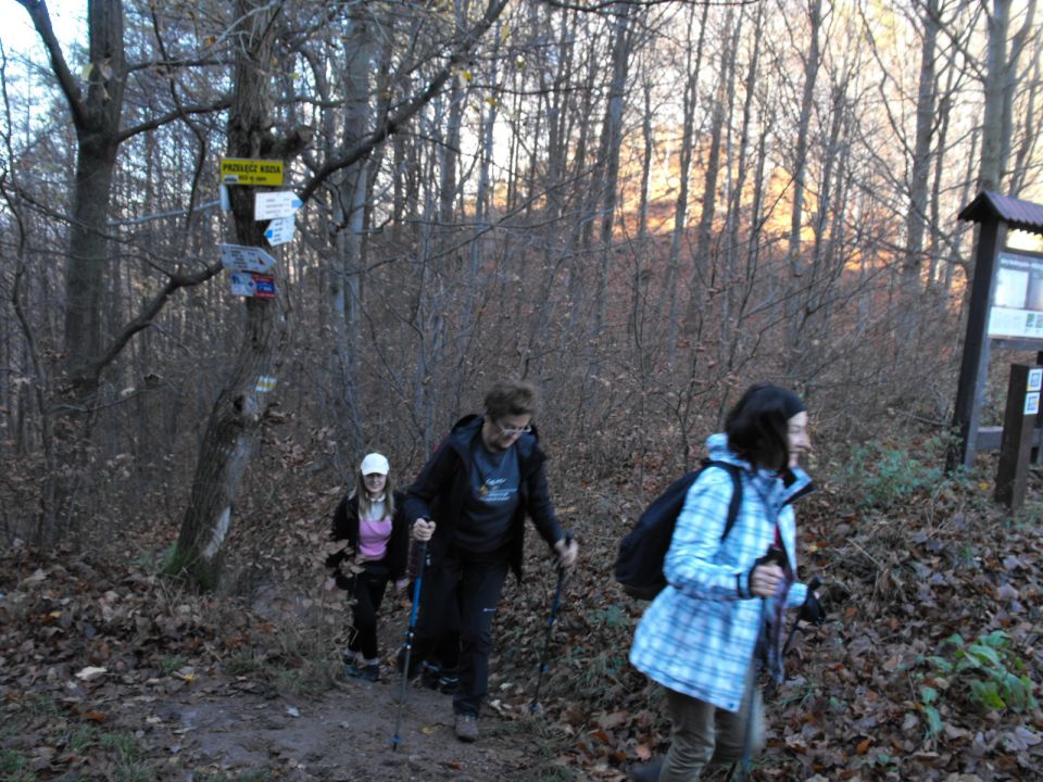 Wycieczka w Góry Wałbrzyskie s002 - PTTK Strzelin