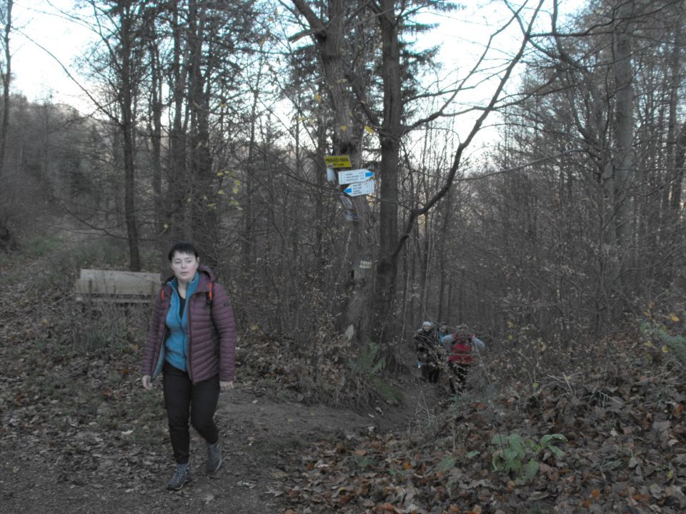 Wycieczka w Góry Wałbrzyskie s002 - PTTK Strzelin