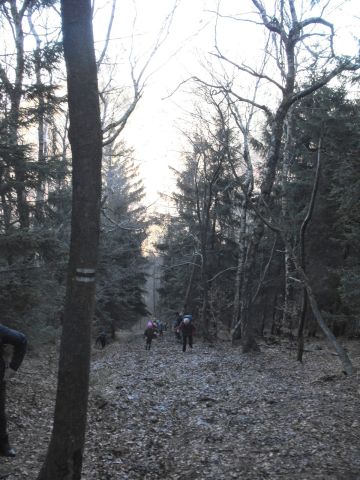 Wycieczka w Góry Wałbrzyskie s69 - PTTK Strzelin