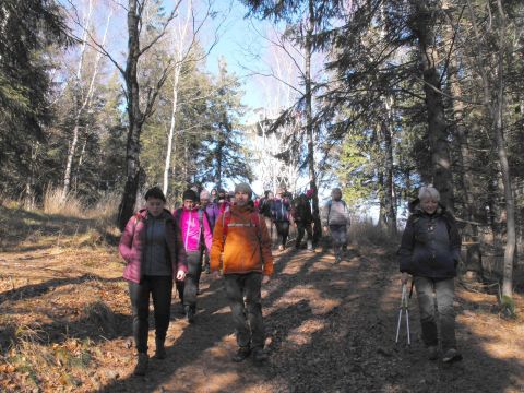 Wycieczka w Góry Wałbrzyskie s107 - PTTK Strzelin