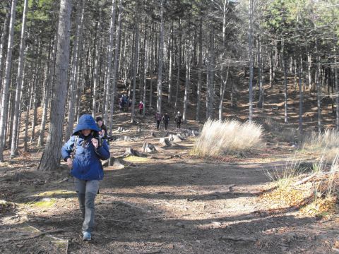 Wycieczka w Góry Wałbrzyskie s109 - PTTK Strzelin