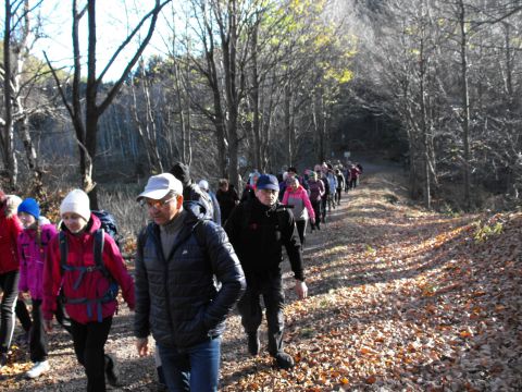 Wycieczka w Góry Wałbrzyskie s116 - PTTK Strzelin