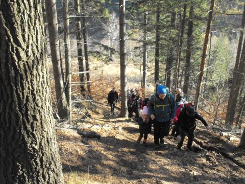 Wycieczka w Góry Wałbrzyskie s117 - PTTK Strzelin